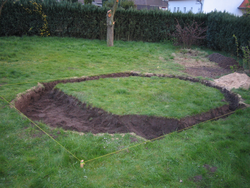 Pool I - www.feldkamp.info - unser Garten - exotische Pflanzen